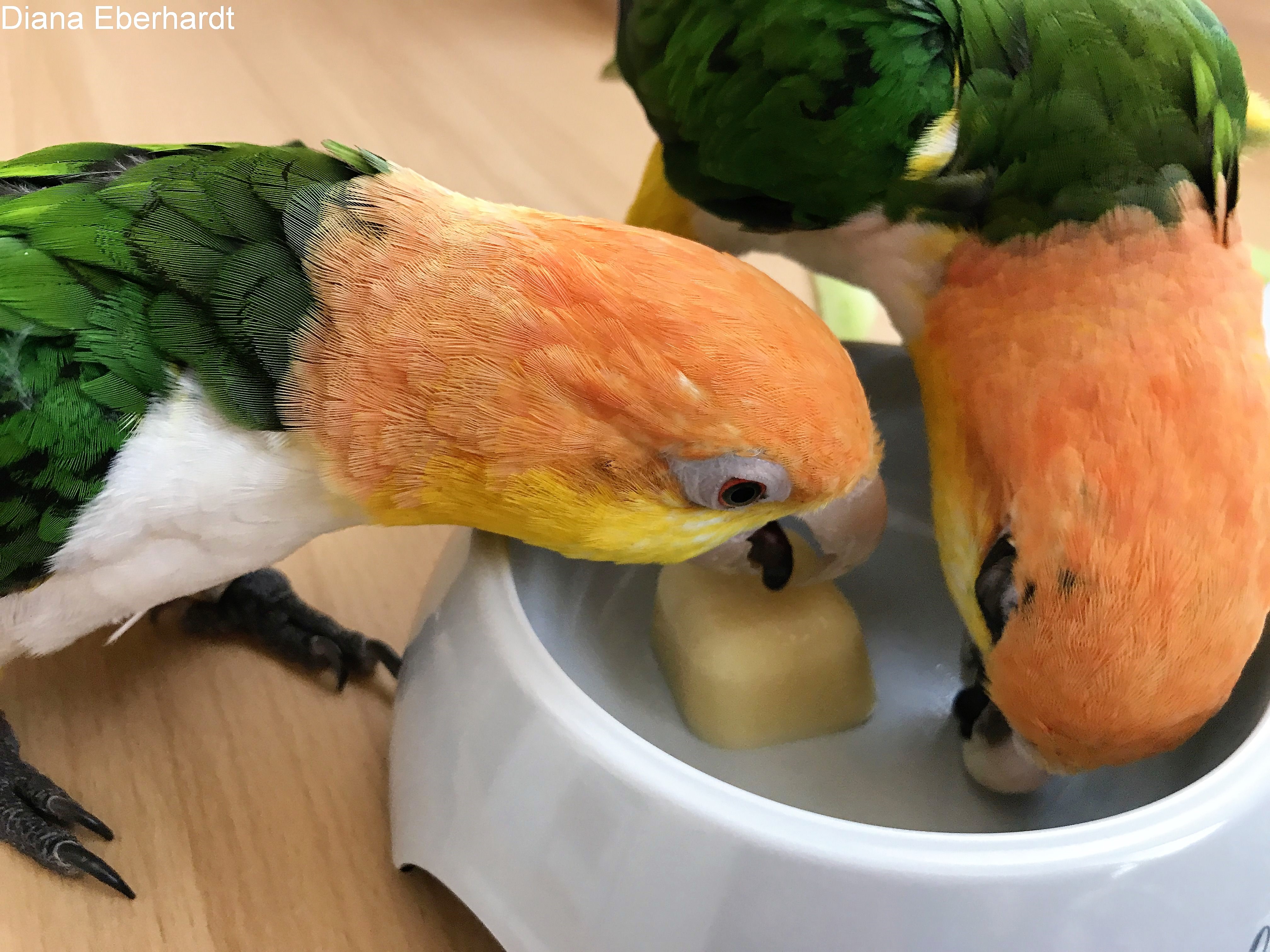 Eis